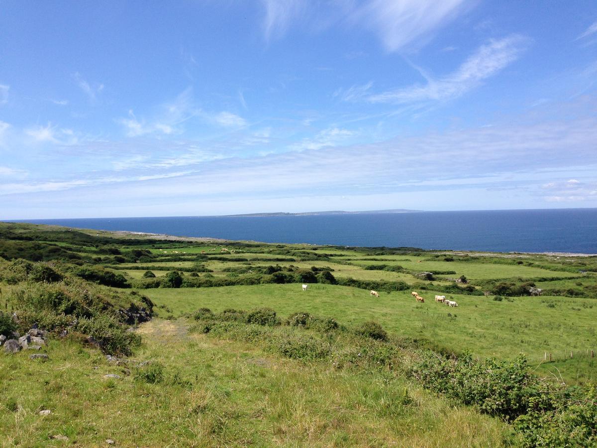 Wild Atlantic Breeze Guesthouse Doolin Buitenkant foto